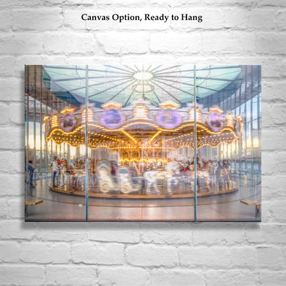 Jane's Carousel Picture in Brooklyn New York City | NYC Art Gift