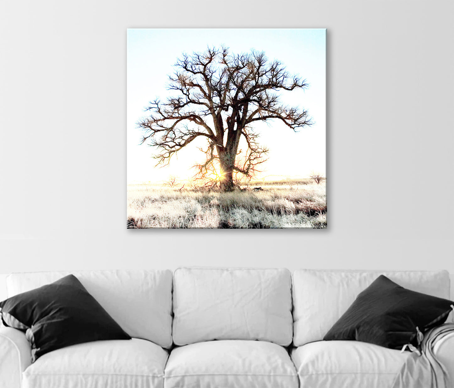 Cottonwood Tree Art Print in Surreal Winter Sunrise Landscape | Arivaca Arizona