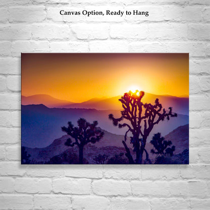 Sunset in Joshua Tree National Park – Mojave Desert Landscape Art for Sale