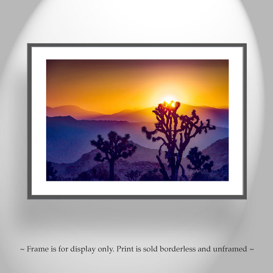 Sunset in Joshua Tree National Park – Mojave Desert Landscape Art for Sale