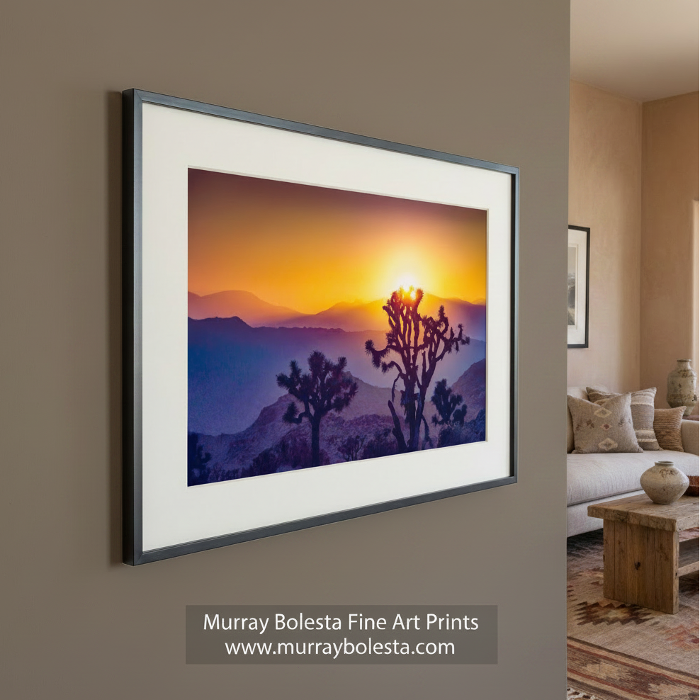 A desert landscape at sunset, with silhouetted trees and mountains in the background. Sunset in Joshua Tree National Park | Mojave Desert Wall Art by Murray Bolesta