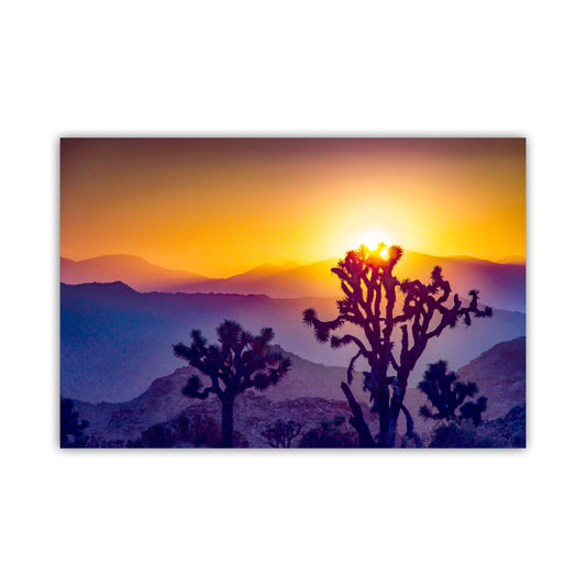 Sunset in Joshua Tree National Park – Mojave Desert Landscape Art for Sale