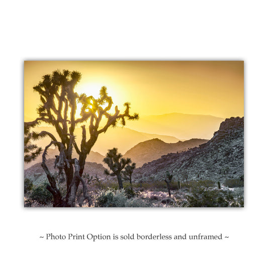 Joshua Tree Sunset Art Print – California Mojave Desert Landscape