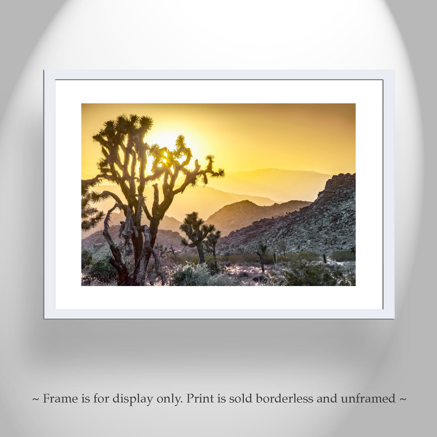 Joshua Tree Sunset Art Print – California Mojave Desert Landscape