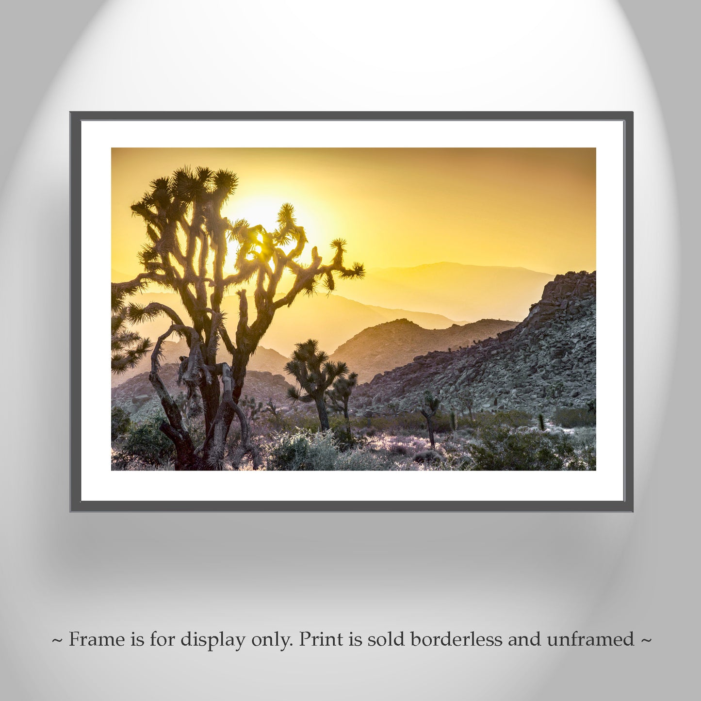 Joshua Tree Sunset Art Print – California Mojave Desert Landscape