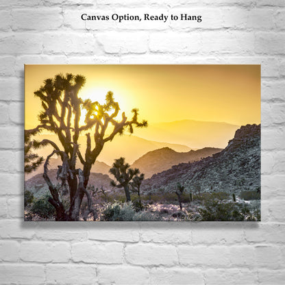 Joshua Tree Sunset Art Print – California Mojave Desert Landscape