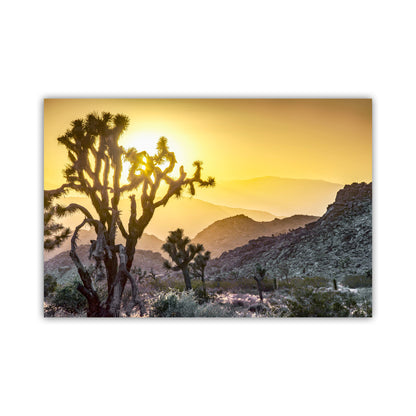 Joshua Tree Sunset Art Print – California Mojave Desert Landscape