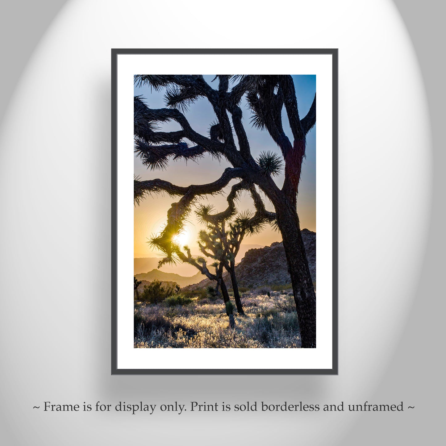 Joshua Tree Desert Sunset Silhouette | National Park Art for Sale