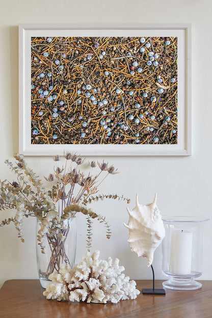 Juniper Tree Art as Oregon Botanical Wall Decor | Berry Fruit
