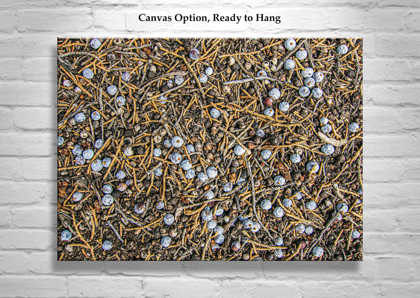 Juniper Tree Art as Oregon Botanical Wall Decor | Berry Fruit