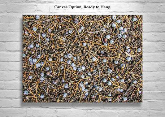 Juniper Tree Art as Oregon Botanical Wall Decor | Berry Fruit
