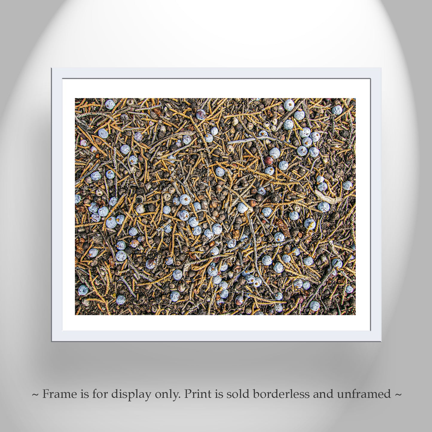 Juniper Tree Art as Oregon Botanical Wall Decor | Berry Fruit