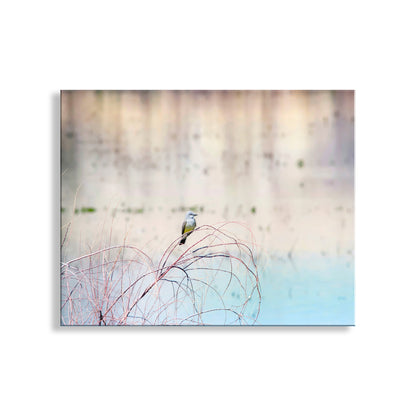 Minimalist Pastel Bird Art of Cassin's Kingbird