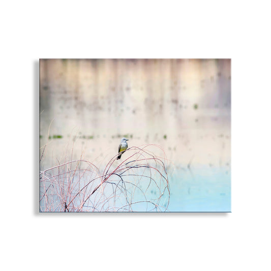 Minimalist Pastel Bird Art of Cassin's Kingbird