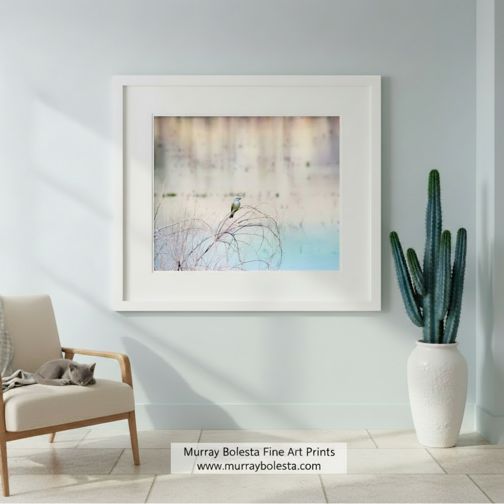 Minimalist Pastel Bird Art | Cassin's Kingbird Framed Print