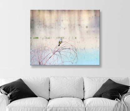 Minimalist Pastel Bird Art of Cassin's Kingbird