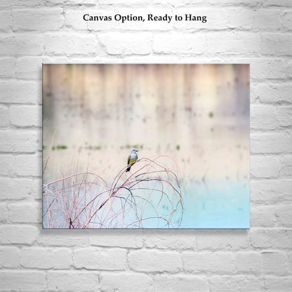 Minimalist Pastel Bird Art of Cassin's Kingbird