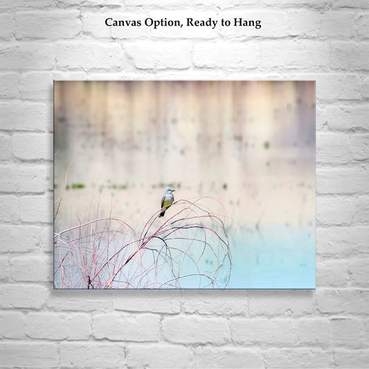 Minimalist Pastel Bird Art of Cassin's Kingbird