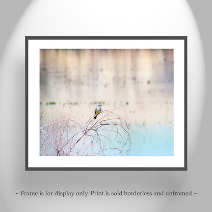 Minimalist Pastel Bird Art of Cassin's Kingbird
