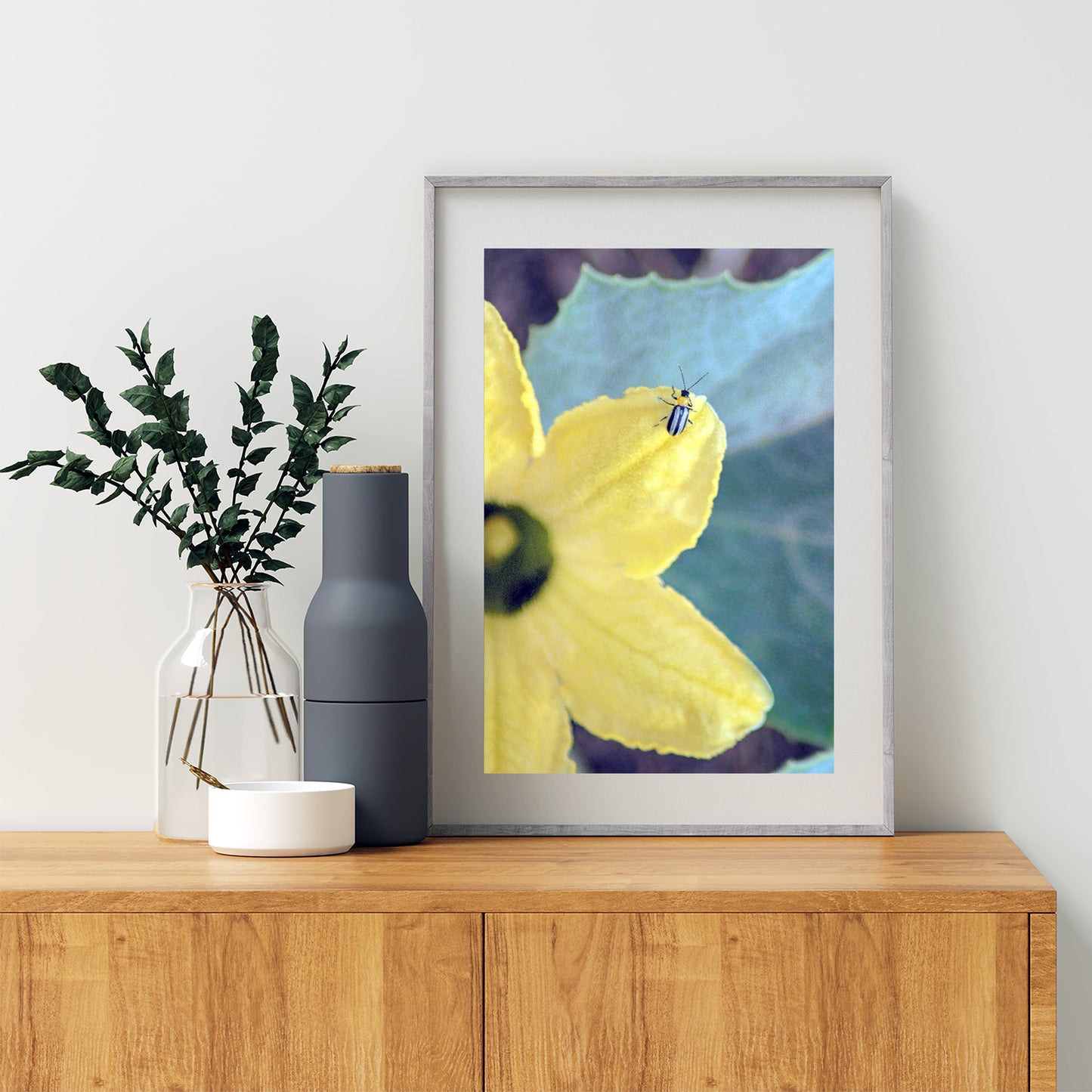 Ladybug Bright Bold Insect Nature Art Print Southern Arizona
