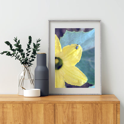 Ladybug Bright Bold Insect Nature Art Print Southern Arizona