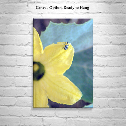 Ladybug Bright Bold Insect Nature Art Print Southern Arizona