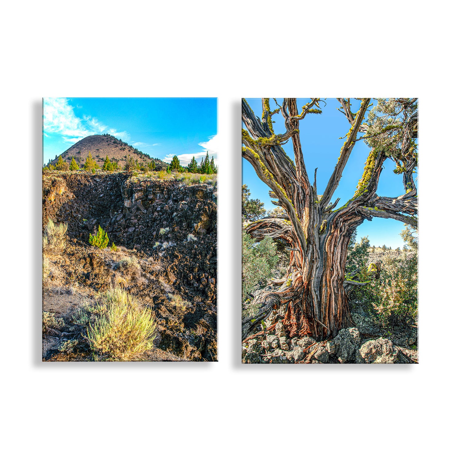 Two canvas prints of a desert landscape with a mountain and a large tree. Lava Beds National Monument Landscape Art Prints | Set of 2