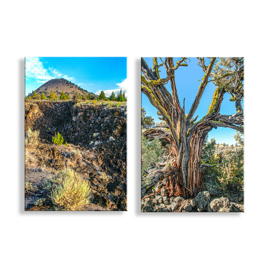 Two canvas prints of a desert landscape with a mountain and a large tree. Lava Beds National Monument Landscape Art Prints | Set of 2