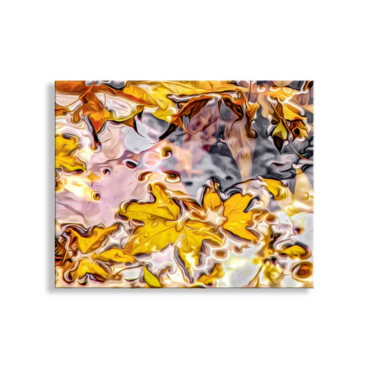 Autumn Sycamore Leaves in Water Art Nature Photography Print