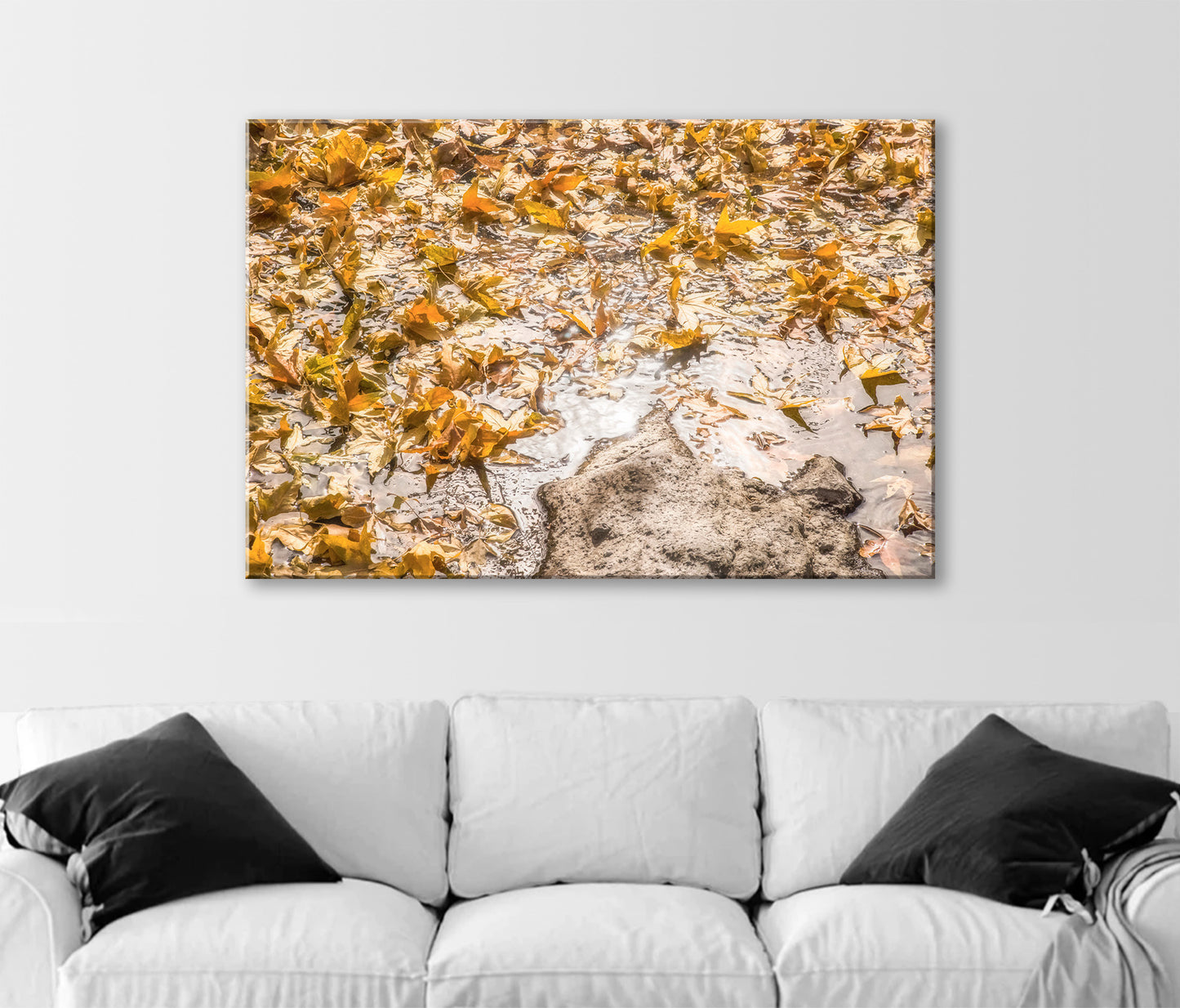 Autumn Leaf Nature Art Photograph with Wilderness Spring Water Reflections
