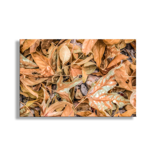 Autumn Leaves Nature Decor on Framed Canvas Print