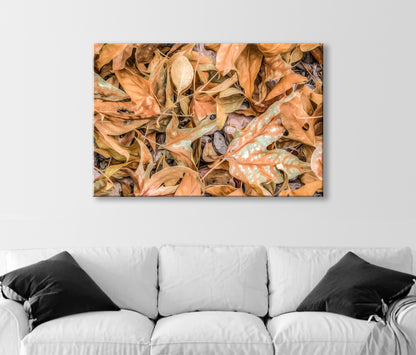 Autumn Leaves Nature Decor on Framed Canvas Print