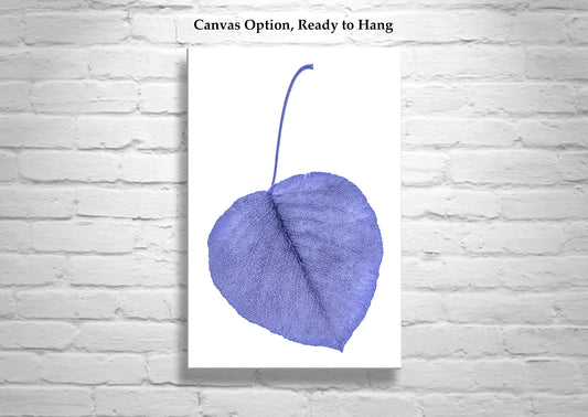Minimalist Botanical Leaf Art in Blue as Fine Art Home Decor