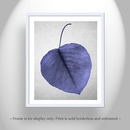 Blue Leaf as Minimalist Still Life Botanical Art Nature Photography