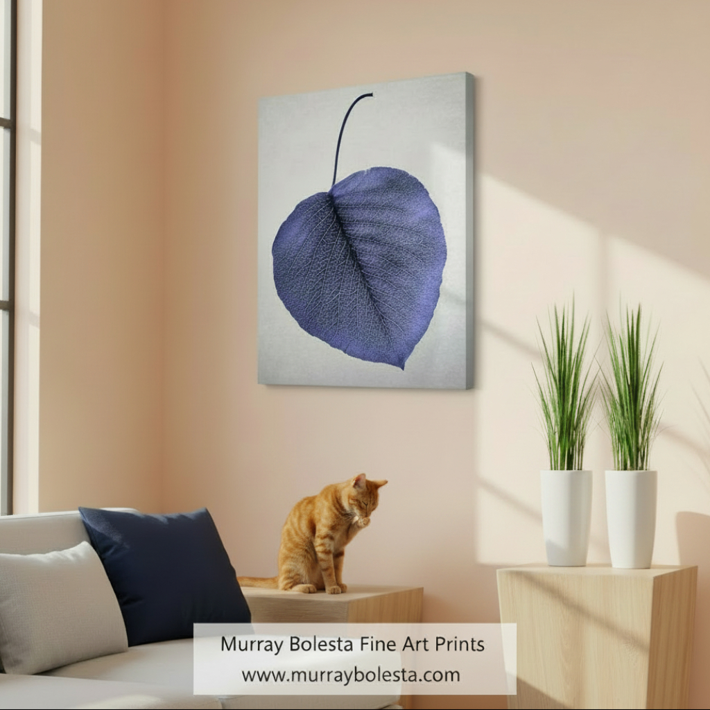 Blue Leaf as Minimalist Still Life Botanical Art Nature Photography by Murray Bolesta