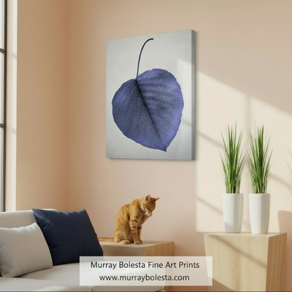 Blue Leaf as Minimalist Still Life Botanical Art Nature Photography by Murray Bolesta