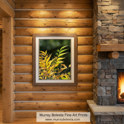 Canvas print of yellow leaves with a dark green background. Botanical Photography Art Print with Elegant Forest Leaves | Madera Canyon AZ by Murray Bolesta