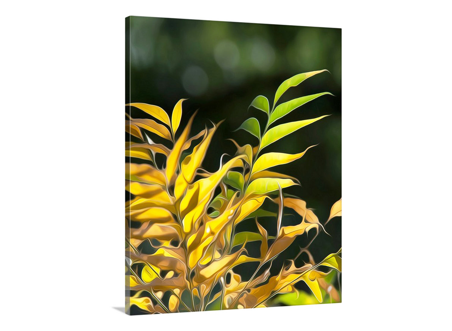 Canvas print of yellow leaves with a dark green background. Botanical Photography Art Print with Elegant Forest Leaves | Madera Canyon AZ