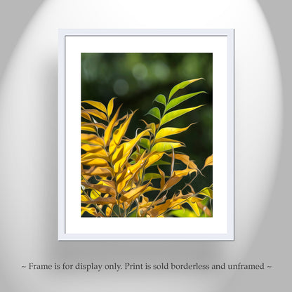 Botanical Art Photography Print with Elegant Forest Leaves | Madera Canyon AZ