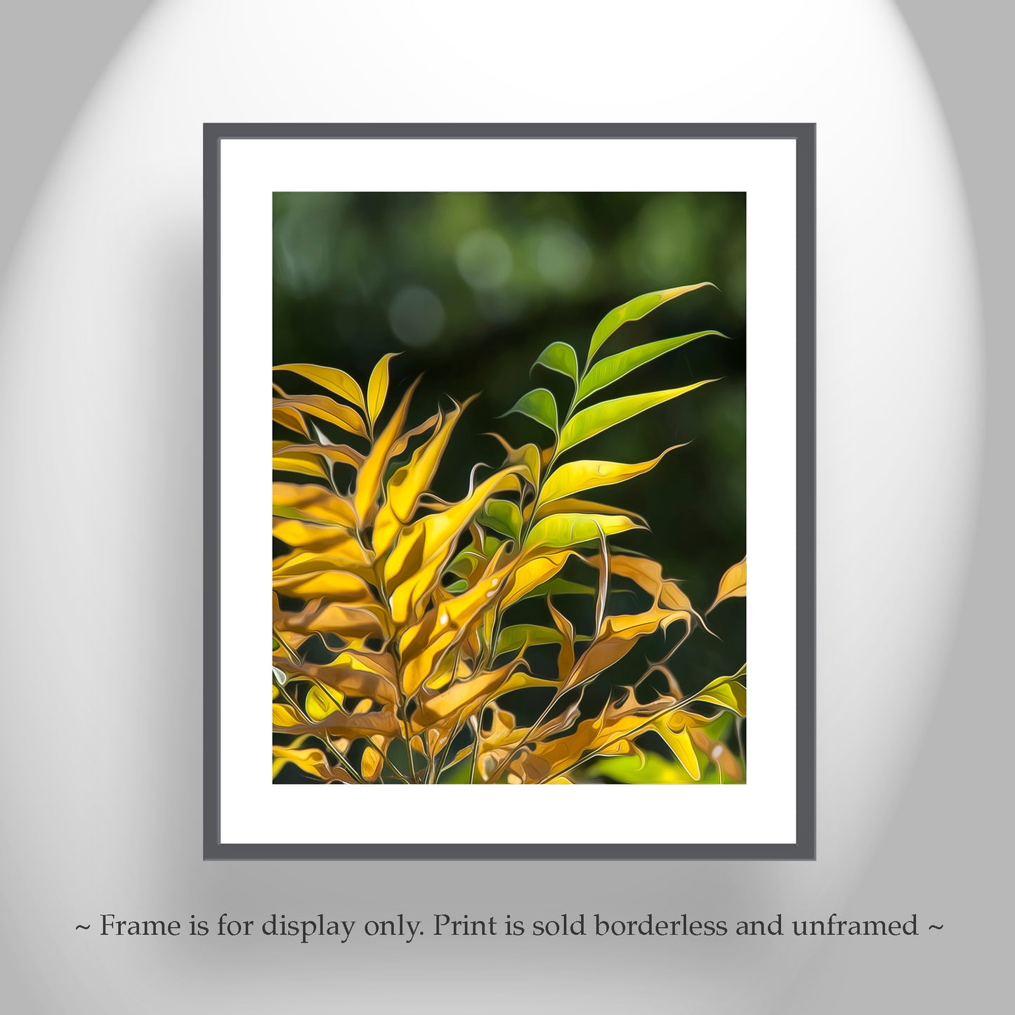 Botanical Art Photography Print with Elegant Forest Leaves | Madera Canyon AZ