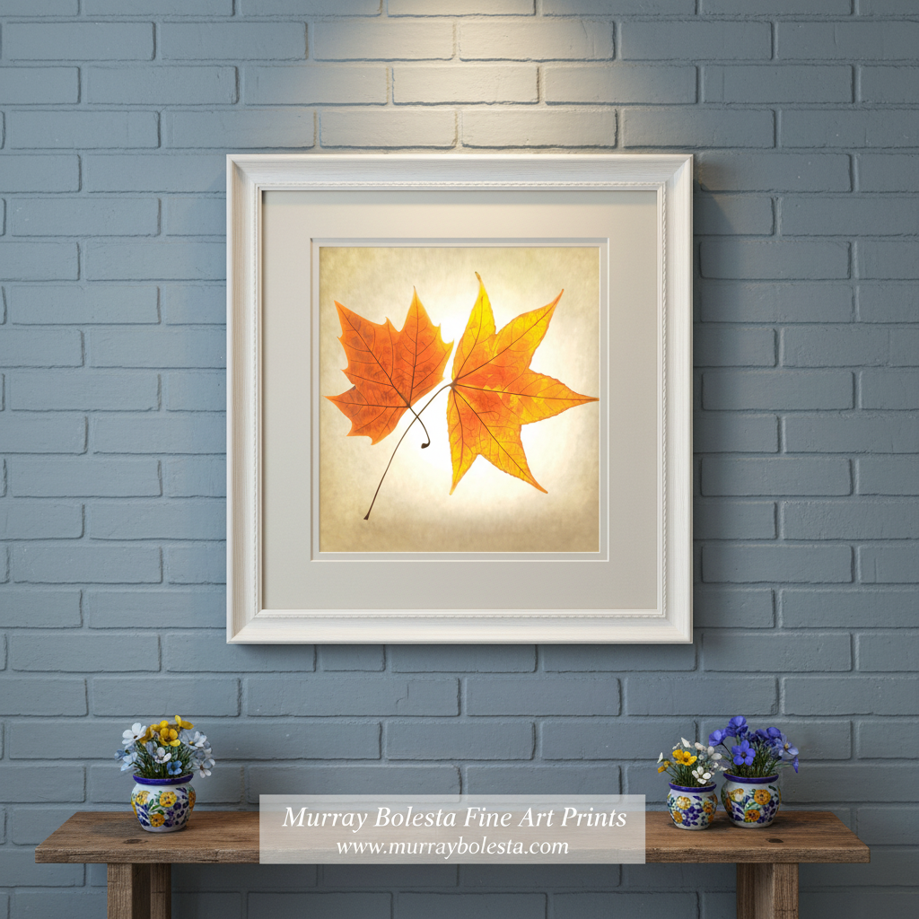 Two leaves on a textured beige background. Autumn Leaves Botanical Art Print with Maple Leaf on Square Framed Print by Murray Bolesta
