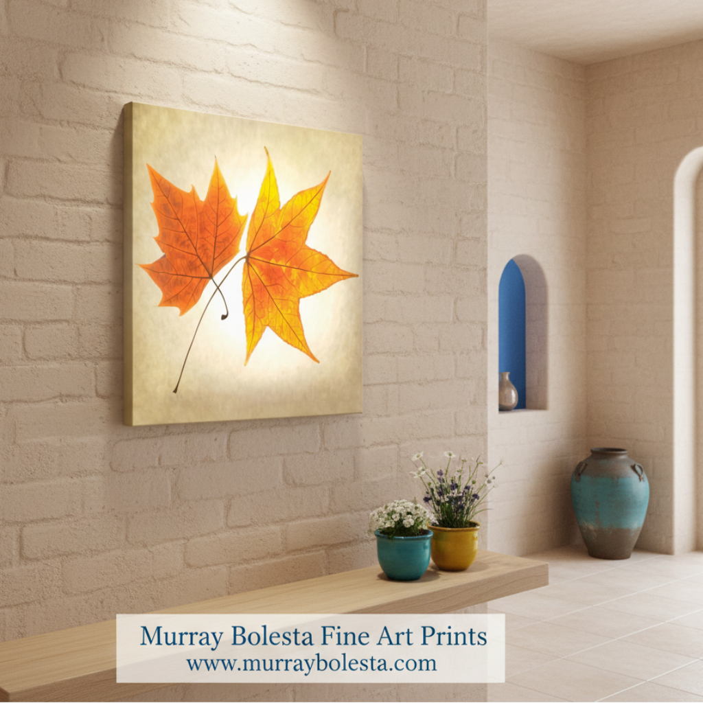 A square canvas wall art print featuring two overlapping orange maple leaves on a textured cream background, displayed in a modern interior hallway setting. A watermark banner at the bottom reads 'Murray Bolesta Fine Art Prints'.