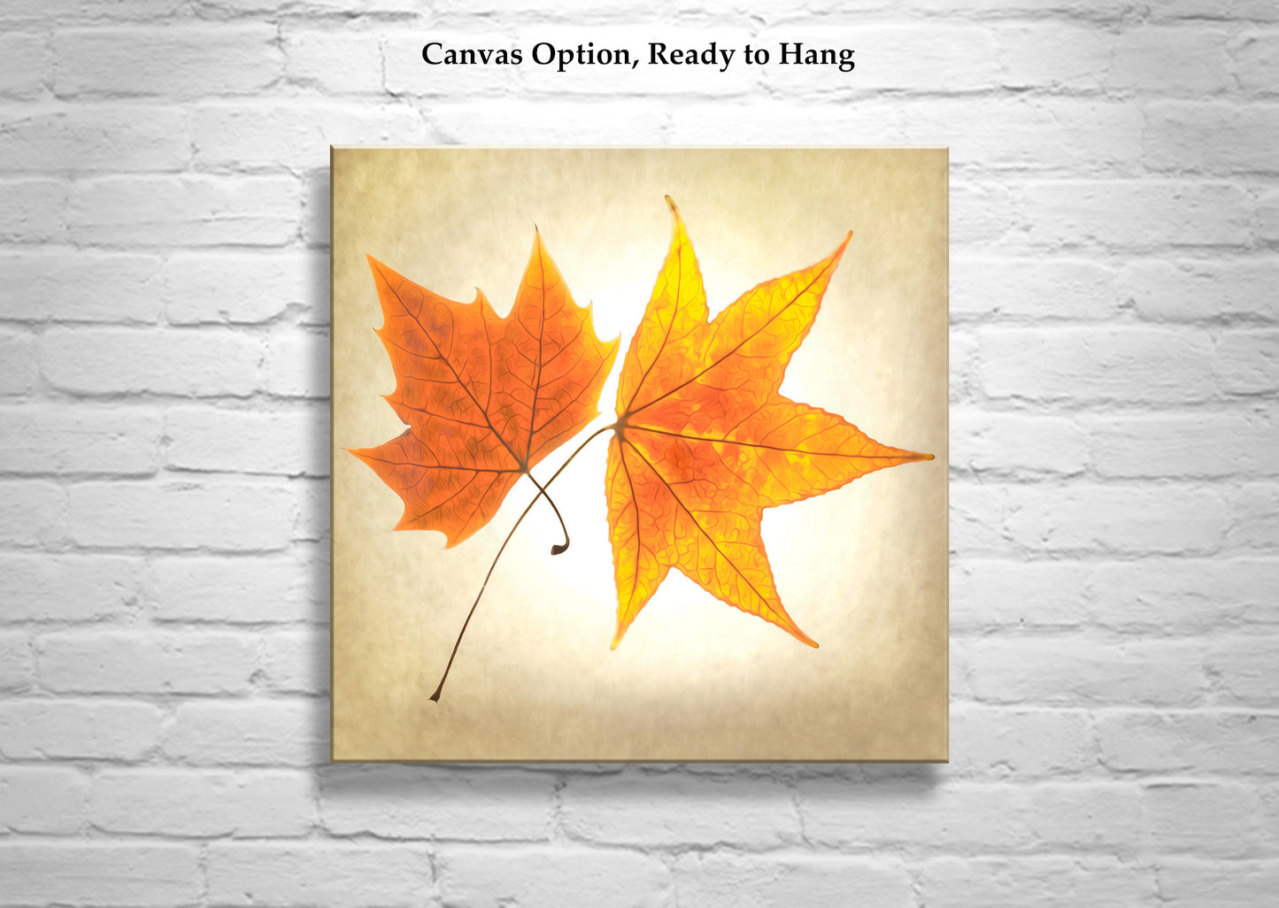 Autumn Leaves Botanical Art Print with Maple Leaf on Square Framed Print