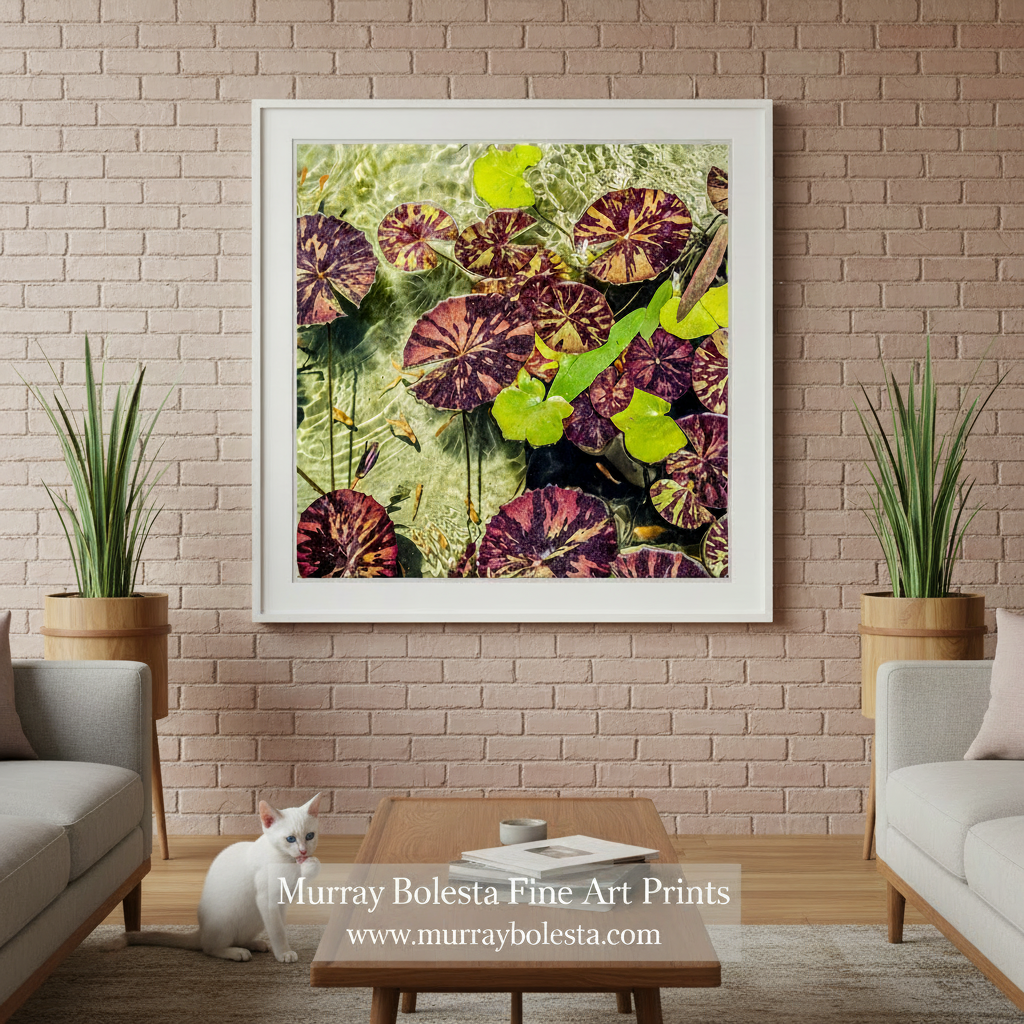 Canvas print of water lilies with purple and yellow flowers on a green background. by Murray Bolesta
