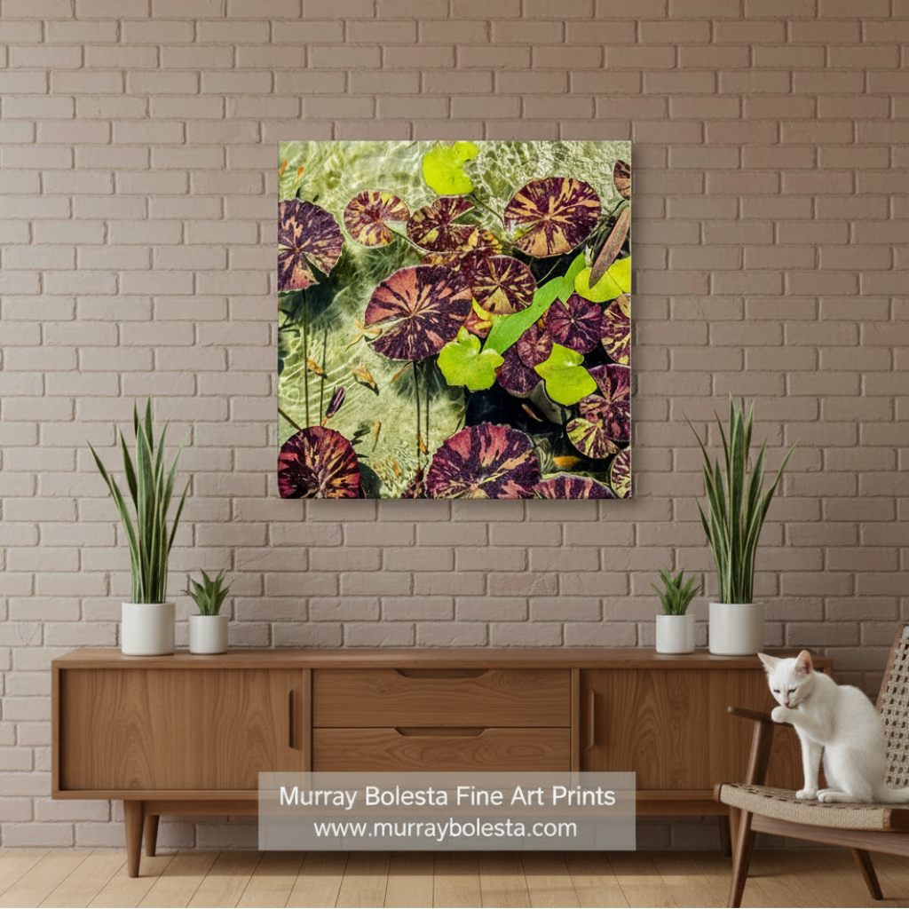 Canvas print of water lilies with purple and yellow flowers on a green background. By Murray Bolesta.