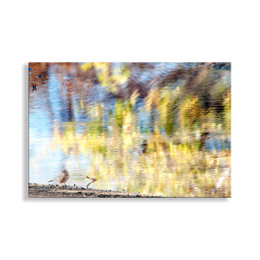 Painterly Art with Little Bird and Water Reflections with Fall Colors