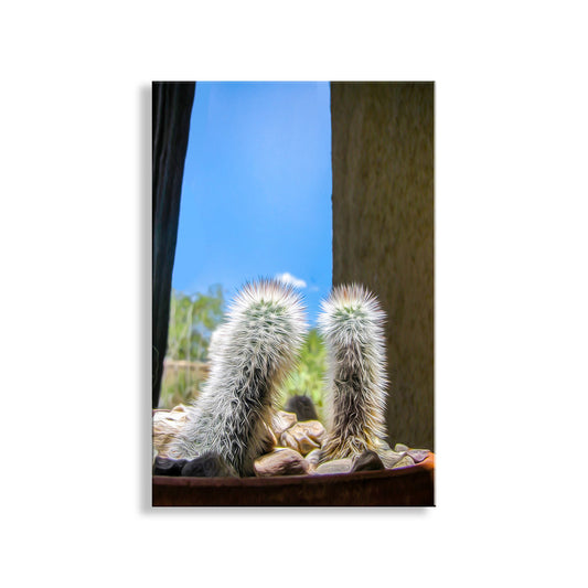 Tiny Cactus Photograph as Southwestern Wall Decor