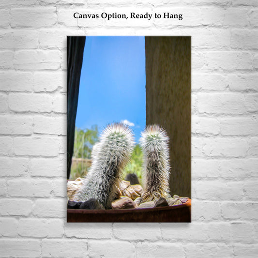 Tiny Cactus Photograph as Southwestern Wall Decor