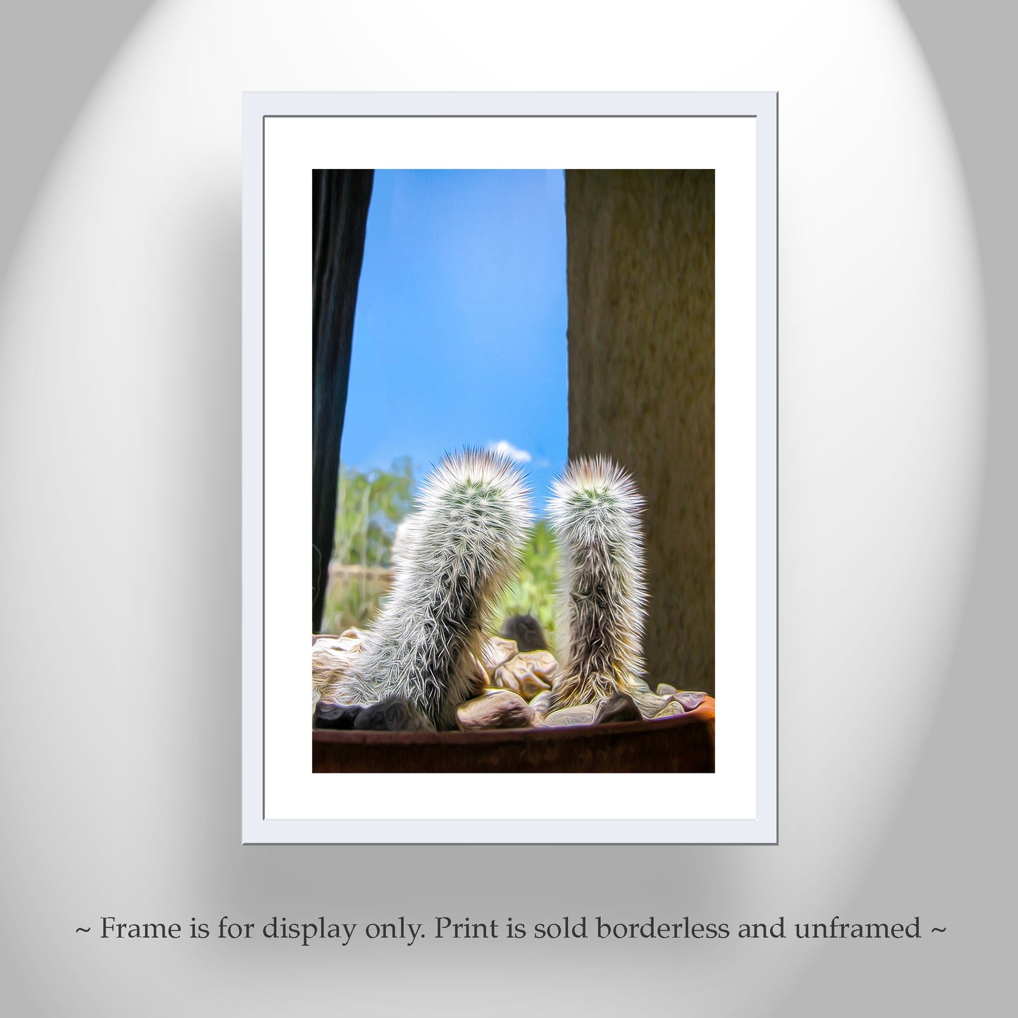 Tiny Cactus Photograph as Southwestern Wall Decor
