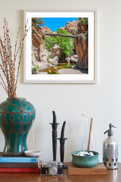 Arizona Desert Canyon Creek Landscape Art Print with Fallen Log